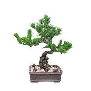 해송306/귀한 분께 명품을 선물하세요