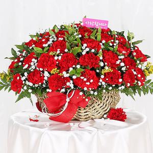 당일 꽃배달 카네이션 어버이날 꽃바구니 생화 A1653