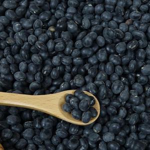 도윤농장 25년 국산 햇 서리태 검은콩 산지출발 1kg(재래종)