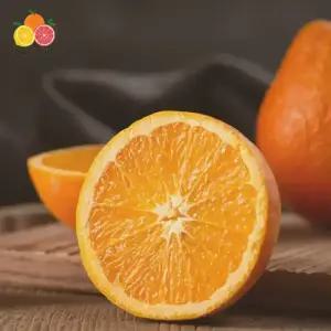 호주 네이블 오렌지 대과 20입 5kg