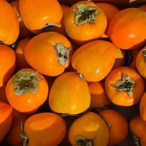 가정용 대봉감 10kg 31-40과이내 중과