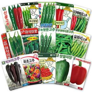 각종 고추 씨앗 모음 청양 풋고추 아삭이 꽈리 피망 파프리카 고추씨 종자