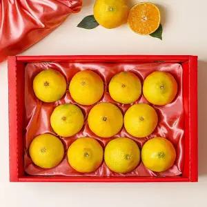 제주 황금향 2.6kg (12과내외/보자기포장) 과일 선물세트