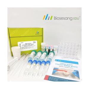 약물을 장까지 전달하는 방법을 찾아라 (5인KIT)_ED4003