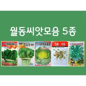 월동씨앗 5종모음 시금치씨앗 월동춘채씨앗 봄동씨앗 냉이씨앗