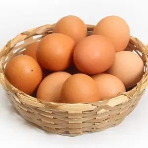 [에그온] [S]난각번호1번 무항생제 유정란 60구