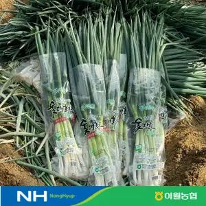 [이월농협] 최상급 국내산 생거진천 흙대파 3kg