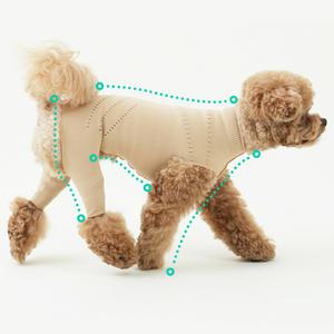 (라이트베이지) 브이랩 파텔라 강아지 슬개골탈구 보호의류