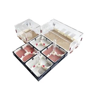 개미사육장 무제한 확장 개미 농장 먹이 이 아크릴 둥지 석고 애완동물 개미집 워크샵 집 보습 급수탑