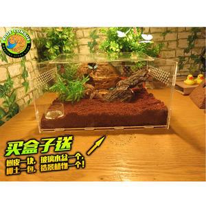 장수풍뎅이키우기 사육세트 사슴벌레집 사육장 곤충 25케이스 용품 산란세트 실내 개구리 상자