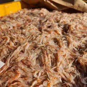 소래포구 국내산 햇 동백하 1kg 김장용 생새우 김장새우