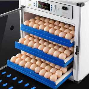 계란 부화기 병아리 자동온도조절기 부화기 습도