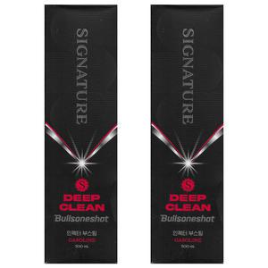 불스원샷 시그니처 딥클린 휘발유 가솔린 2개