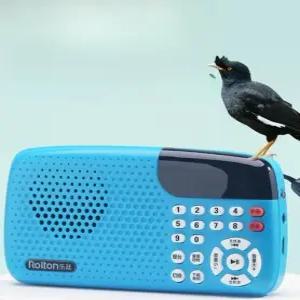 앵무새 말하는법 가르치는 녹음기 카세트 따라하기 훈련