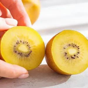 국내산 골드키위 특대형 1개당 110~140g 2kg