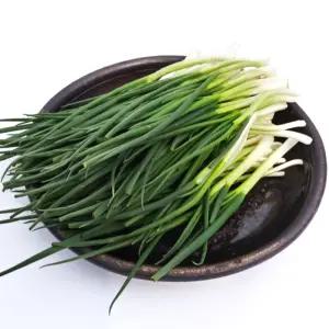 의령농산 건강채소 국내산 간편야채 손질채소 깐쪽파