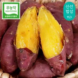 [과일꾼] 25년 수확 무농약 세척 토울고구마 3kg 5kg 로얄과