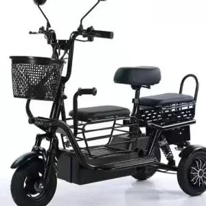 세발 전기자전거 전동 삼륜 자전거 2인용 화이트 3인용