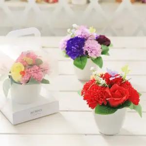 CO-SA 비누꽃 카네이션 화분 어버이날