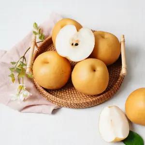 나주 가정용 추황배 3kg(7-9과)/소과