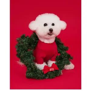 [BYC]2025년 BYC 개리야스 빨간내복 ODA0003