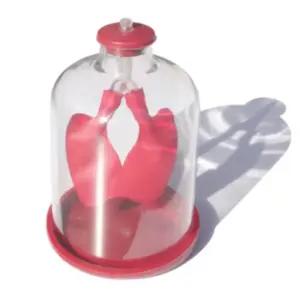 횡경막 허파 폐 호흡 운동 실험장치 호흡실험 모듬수업 과학 모둠활동 원리실습 학원