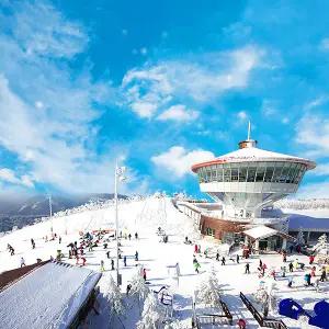 [강원] 25/26 하이원리조트 스키 리프트권 (11.28~폐장일까지)