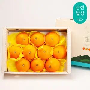 [깨비농원] 황금향 선물세트 2.5kg 대과(7-9과)