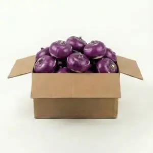 제주 콜라비 특품 10kg 보라색무 아삭아삭 무우