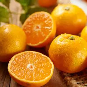 새콤달콤 제주 서귀포 귤 당도선별 후숙 감귤 4.5kg 로얄과 S-M