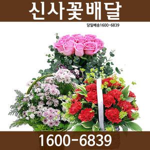 꽃바구니 꽃다발 기념일 축하 출산 생일 꽃배달