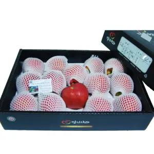 강원도 정선 사과 5kg(15과내) 사과선물세트 햇사과 부사