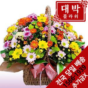 소국혼합 꽃바구니 생일선물 기념일 출산꽃바구니 병문안 부모님선물 전국꽃배달서비스