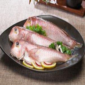 제주옥돔/통옥돔3팩(9마리)/참옥돔/제주수산물/선물세트/명절선물/저염생선/생선/