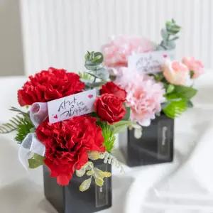 카네이션 조화 화분 노블set 20cm 2컬러 꽃 어버이날 스승의날 테이블 장식 감사 선물 행사 소품