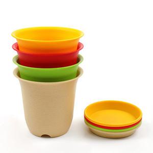 갑조네 컬러토기화분 플라스틱화분 인테리어