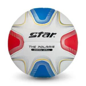 스타 족구공 / 더폴라리스(8판넬) Jb395 /25년신형/학교체육