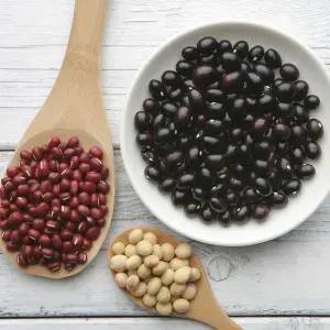 화정농장 25년 햇 서리태 검정콩 팥 적두 들깨 1kg