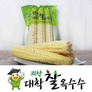 2025년 괴산 대학찰옥수수 삶은 냉동옥수수 특품(15개) 찐옥수수 찰옥수수