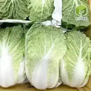 국내산 알배기 쌈배추 12통 8kg