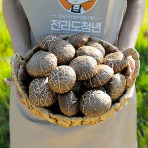 친환경재배 안동 표고버섯 1kg~3kg