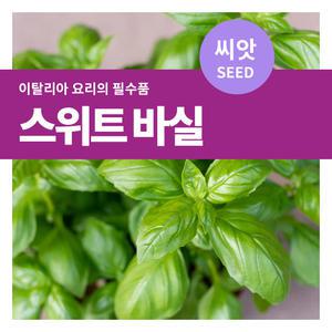 스위트 바실(바질) 허브 씨앗 3g