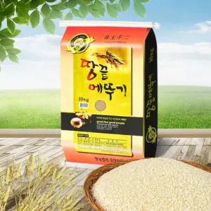 [해남미소] 중앙산업 영농조합법인 25년 햅쌀 땅끝 메뚜기쌀 10kg(혼합)