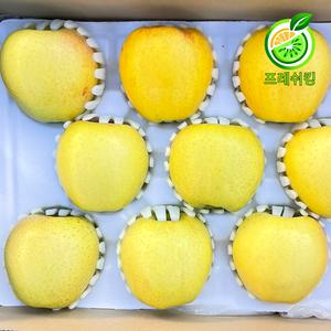 [프레쉬킹] 시나노 골드 황금 사과 가정용 선물용 5kg