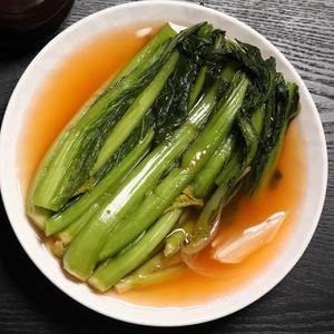 국내산 전라도 여수 돌산 갓 물김치 4kg