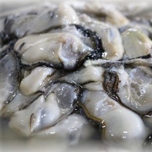 생굴 25년 햇 제철 통영 깐 굴 1kg