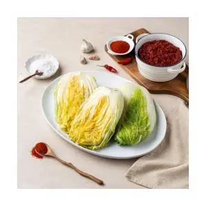 김장세트(절임배추 9kg + 김치양념 3kg) 보성녹차김치 국내산 전라도 김치양념 김장재료
