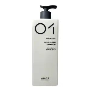 아모스프로페셔널 딥 클린 샴푸 1000g 1개