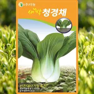 다농 새싹청경채 씨앗 30g 새싹 청경채씨 종자