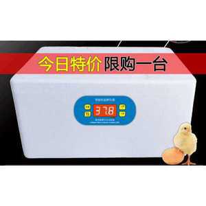 조류 부화기 인큐베이터 미니 부화기 꿩 닭 알 종란